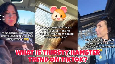 hamster and sunroof|sunroof hamster challenge.